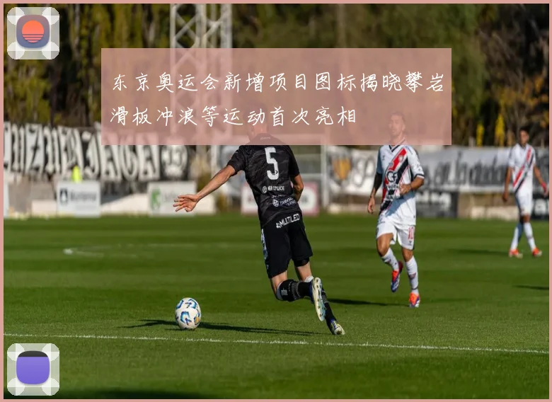 东京奥运会新增项目图标揭晓攀岩滑板冲浪等运动首次亮相