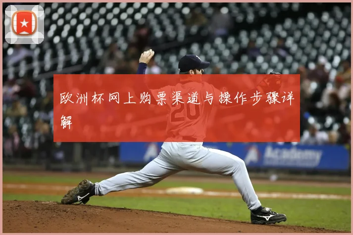 欧洲杯网上购票渠道与操作步骤详解