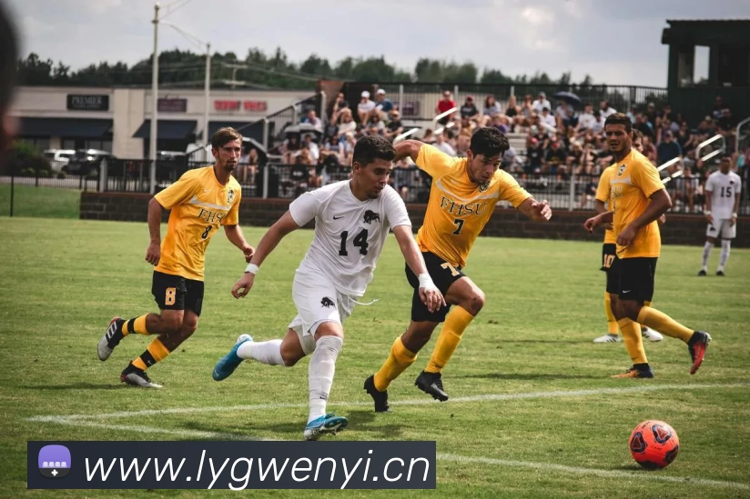 多媒体互动体验